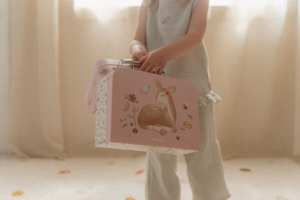 Suitcases Fairy Garden FSC